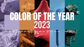 Color Trends 2023 in Interior Design (+ COLOR OF THE YEAR 2023)  - Home Decor Ideas