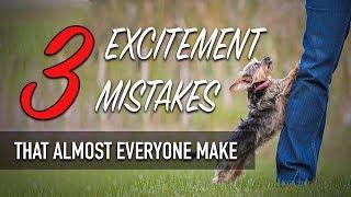 3 Excitement Mistakes (That Almost Everyone Make With Their Dog)