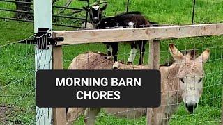 Morning Barn Chores at Twin Pines Farm - A Storybook Farm Full of Farm Animal Characters