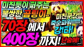 [슬롯][생방송][11월27일] 판다포춘1이젠 너무 퍼줘서 불쌍한 곰팅이...미친듯이 준다!!! [프라그마틱][온라인슬롯][슬롯머신][슬롯라이브][강원랜드]