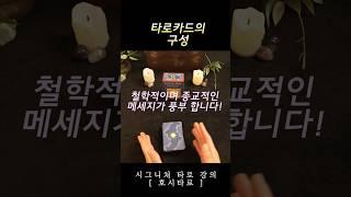 타로카드의 구성- 타로카드의 기초부터 알려드릴게요 #shorts #타로배우기 #타로카드배우기