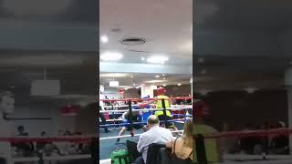 amatuer boxing fight sheffield