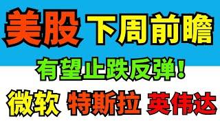 美股|下周行情前瞻，有望止跌反弹！本期：SMCI AMD TSLA  NVDA AAPL AMZN MSFT META  GOOG AMSL COIN META COIN AMD SOXL