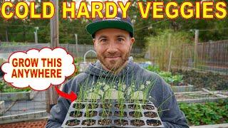 This Must Have Cold Hardy Veggie Can Grow All Winter In CANADA