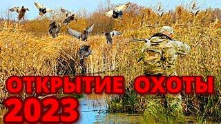 Открытие охоты 2023 на утку! Охота на утку в дружной компании!