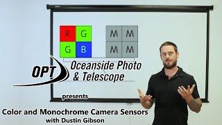 Color and Monochrome Sensors with Dustin Gibson- OPT