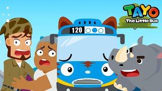 The Rhino's Horn Has Gone Missing! l Safari Bus Tayo l Learn Animals with Tayo & Vehicles