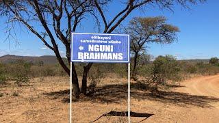 Dr. Themba Dlodlo | Brahman Stud Breeder | Zimbabwe | The Breakfast Club | S05EP42