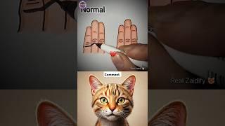 give this video title (warning answer) #cat #meme #funny