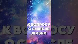 #БлагоВест  К вопросу О СМЫСЛЕ ЖИЗНИ