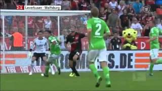 Great Goal Eren Derdiyok vs Wolfsburg