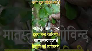 #tulsi  #bhakti #dailyslokas #daily #mantra #sk10 #trending #shorts #viral #shlokasdaily