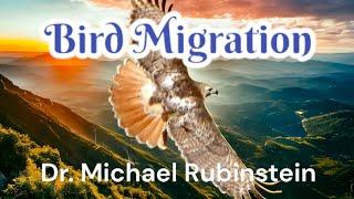 Bird Migration