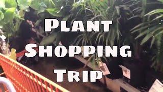 Home Depot Plant Shopping Trip / Florida / Houseplants Tropicals Succulents Cactus Orchids