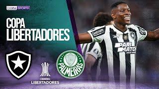 Botafogo (BRA) vs Palmeiras (BRA) | HIGHLIGHTS Libertadores | 08/14/2024 | beIN SPORTS