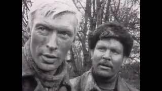 Почему людям надо рассказывать ВСЁ...