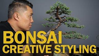 Juniper Bonsai Styling - Working with Average Material