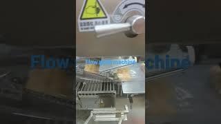 Automatic packaging machine