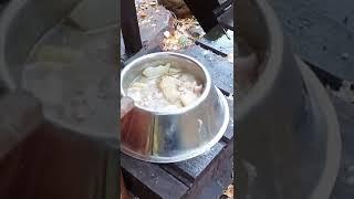 Ли Сяо / Alice the Fox Лиса Алиса (Как ест лиса?!)