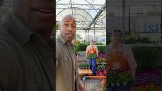 Spring Black Friday Is Here | The Home Depot
