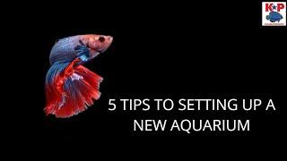 5 TIPS TO SETTING UP A NEW AQUARIUM