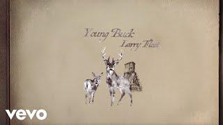 Larry Fleet - Young Buck (Lyric Video)