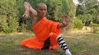 The Power of Shaolin Kung-Fu Wushu ! Master Song