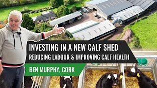 Investing in a New Calf Shed: Reducing Labour and Improving Calf Health, Ben Murphy, Cork