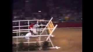 World Record   Horse High Jump 2 32 meters