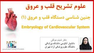 جلسه هفتم (1) : جنین شناسی دستگاه قلب و عروق | آموزش جامع علوم تشریح (آناتومی) قلب و عروق