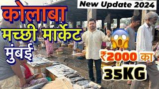 COLABA FISH MARKET IN MUMBAI 2024|| Sassoon Dock Fish Colaba In Mumbai, Wholesale and Retail market