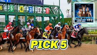 Gulfstream Park Preview & FREE Pick 5 Bets | The Magic Mike Show 582