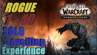 WoW Retail (2022) Solo Leveling Experience: Subtlety Rogue Level 1 - 40 (No Camera, No Commentary)