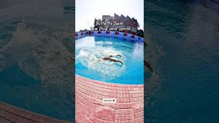 15m Dive & Swim - Butterfly Swimming #swimming #swimmingtips #swimmingpool #swim #pool