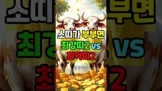 소띠랑 결혼하면 돈복 터지는 띠 2 vs 재물운 막히는 최악의 궁합띠 2