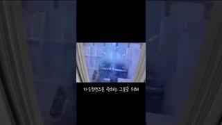 #누진다초점렌즈 #니콘렌즈 #안경사 #브이로그 #vlog #안경제작