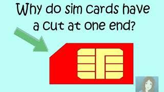 Most Brilliant IAS Interview Questions with Answers ||Why do sim cards have a cut at one end?