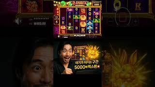 [슬롯쇼츠] 잘 터지는 자리에서 1스핀 5000배?! 진짜 맥스윈 터졌습니다