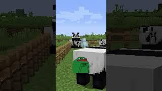 Why do pandas do that #shorts #minecraft #minecraftshorts