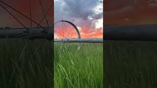There are no words for the beauty of these western skies #homestead #wyoming #explore #farmlife