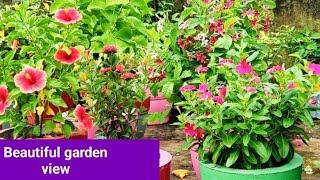 Terrace Garden overview //Shweta creative Garden