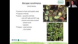 Aquatic Plants of South Florida