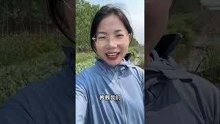 公公种的瓜都让喜鹊糟蹋了，可把奶奶急坏了，大家有好的办法驱鸟吗？#我的乡村生活 #乡村田野