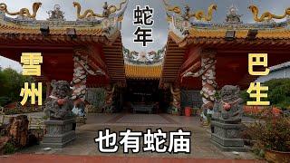 明年是蛇年，带大家去参观蛇庙 雪兰莪巴生有一间以蛇为主题的神庙  Year of the Snake,There is a Snake Temple in Klang, worth to visit