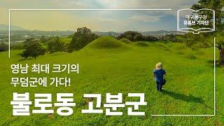 [대구 동구청 유튜브 기자단 1기] 영남 최대 크기의 무덤군에 가다! :: 불로동 고분군 - 이종진 기자