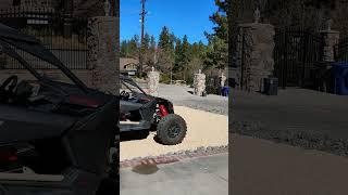 Team Haney in Big Bear being stalked by a coyote.