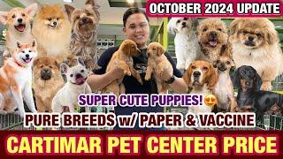 OCTOBER 2024 UPDATED CARTIMAR PET PRICELIST + GIVEAWAY! CUTE & PURE BREED PUPPIES *MUST WATCH*