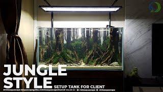 AQUASCAPE  BELOW THE HILL | JUNGLE STYLE | CLIENT TANK 100 CM