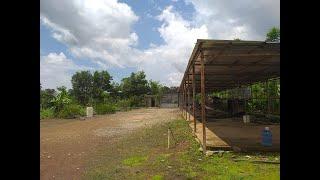 Finca de 25 Tareas con Su Título al Día en Venta en República Dominicana 20080923B #fincas