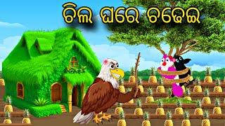 Chilla Ghare Chadhei \\ Odia Stories \\ Odia Gapa \\ Tiki Chadhei Gapa \\ Bird Gapa Kahani